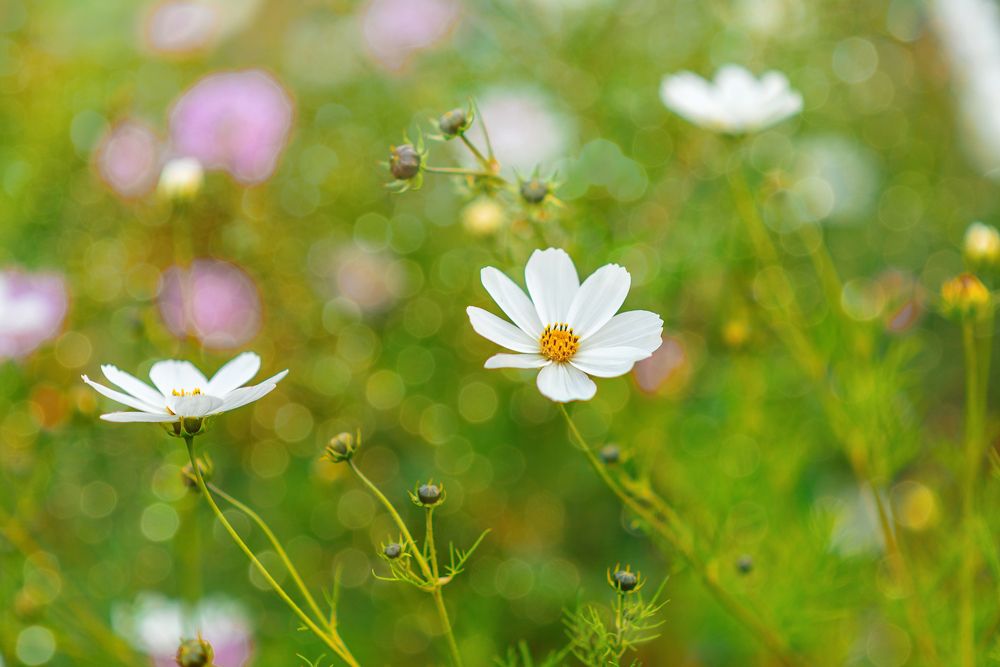 Photograph by Татьяна Биргулиева