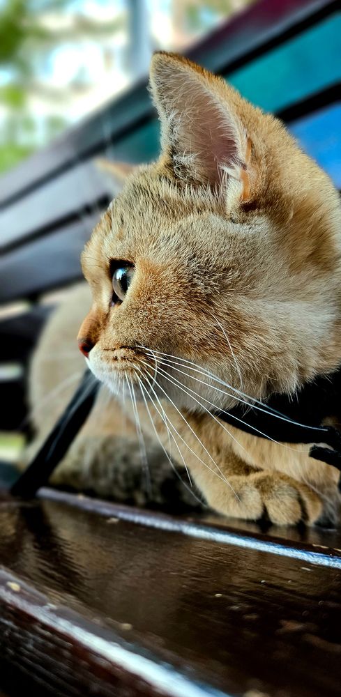 Photograph by INNA KHOMENKO