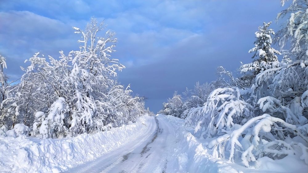 Дороги заполярья.