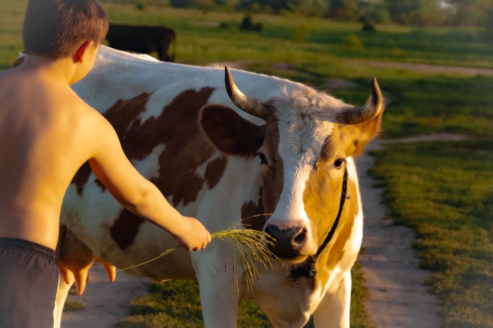 Photograph by INNA KHOMENKO