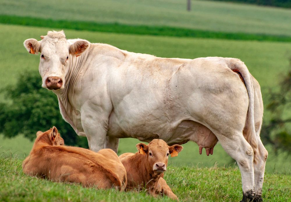 Фотография автора Людмила Прокофьева