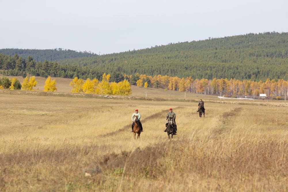 Всадники в степи