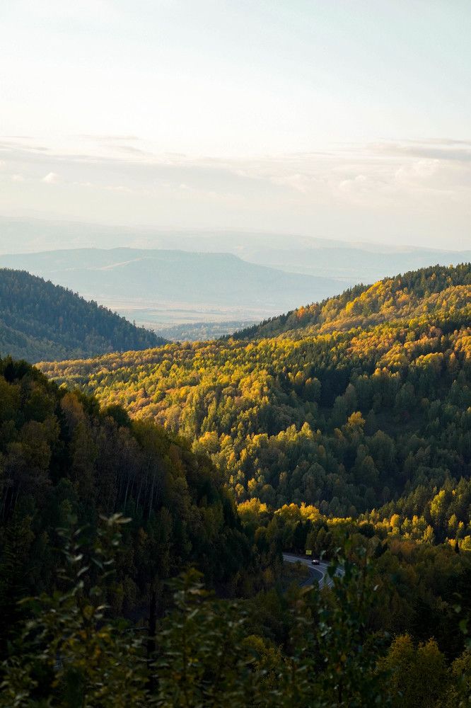 Photograph by Дарья Ринас