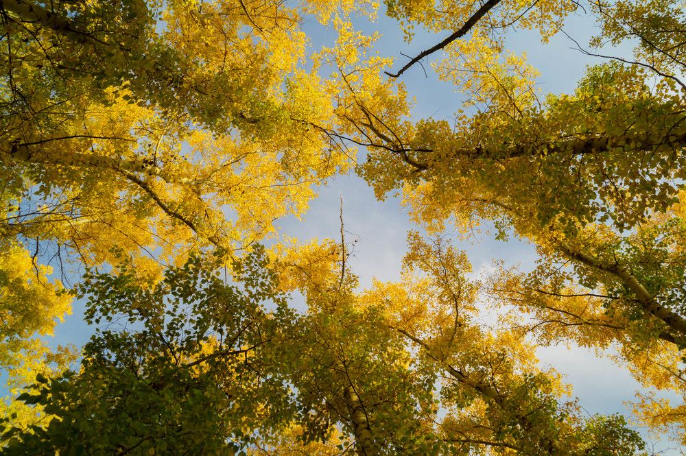 Photograph by Дубровин Николай