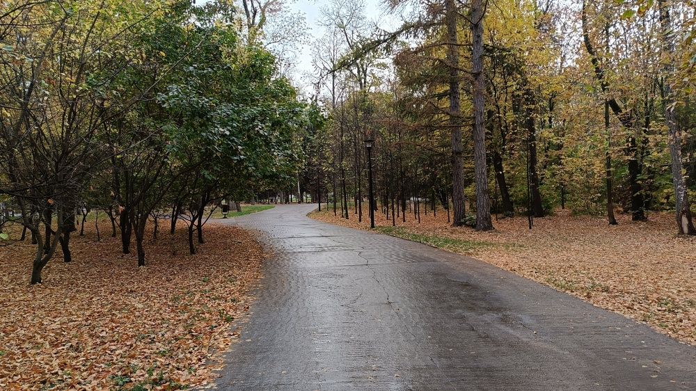 Photo #9621993