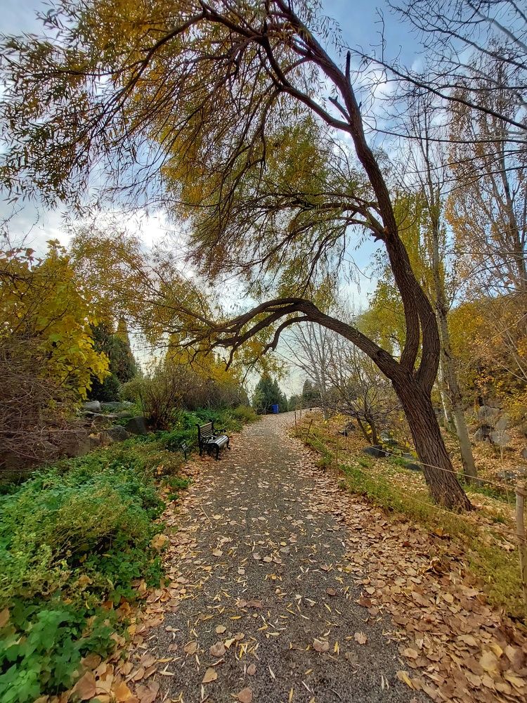 Photograph by Mohammad reza Falah