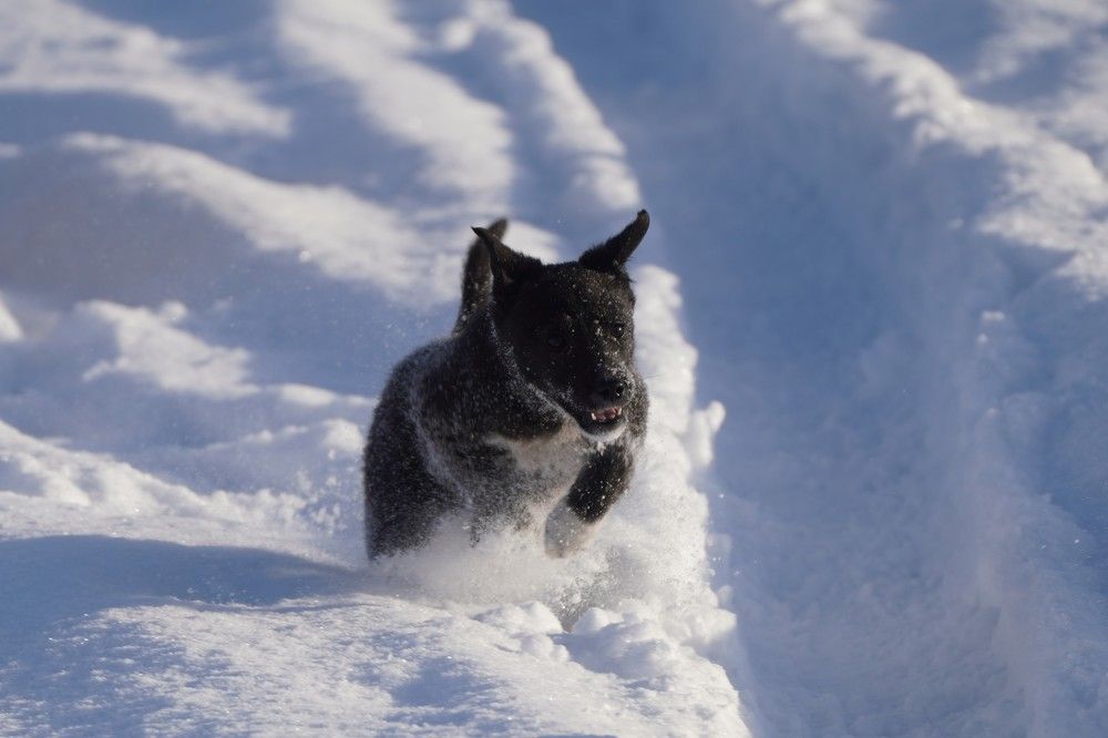 Photograph by Дарья Ринас