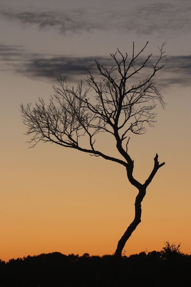 Фотография автора Anna Serova