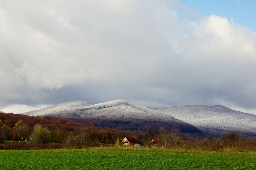 Photograph by Svetlana Streltsova