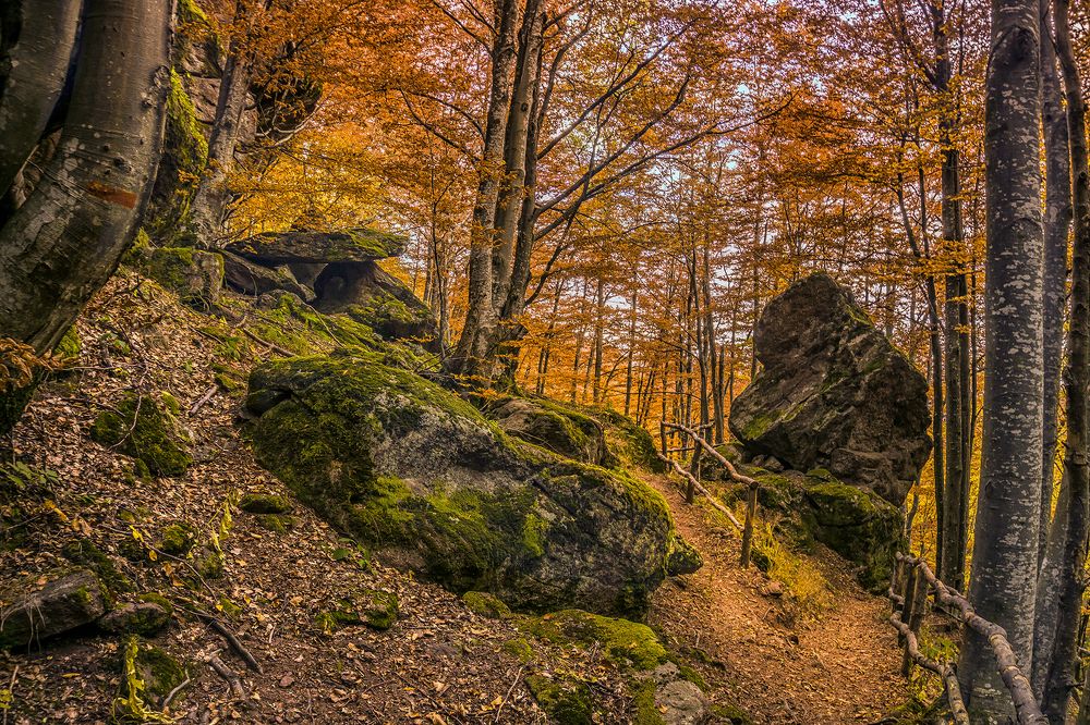 Фотография автора Milena Ivanova