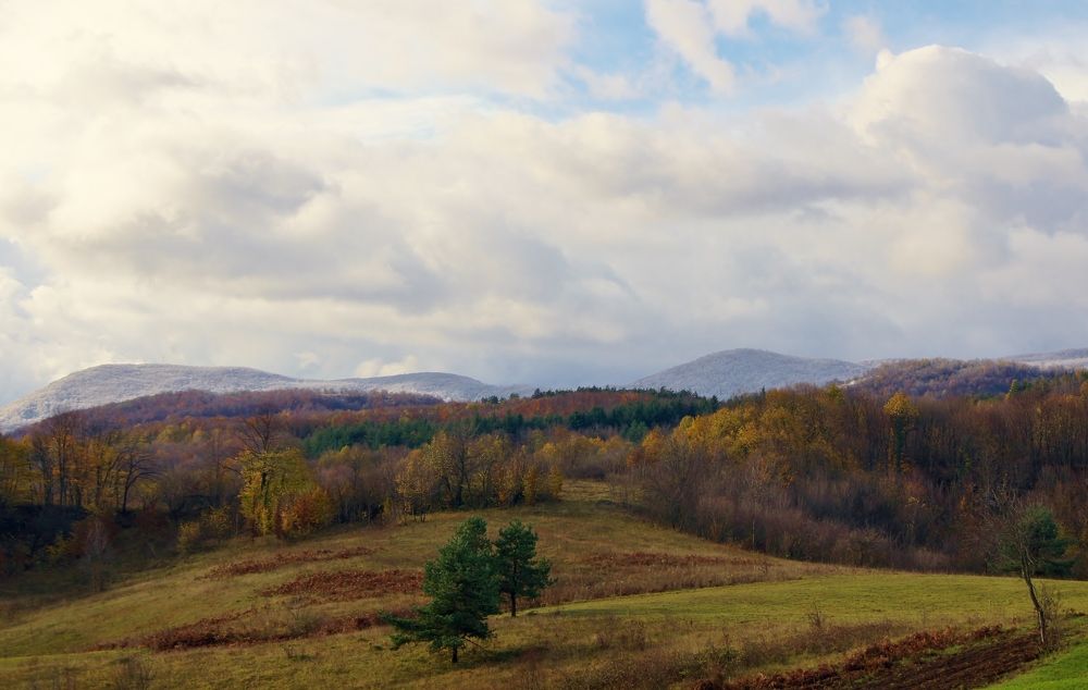 Палитра осени