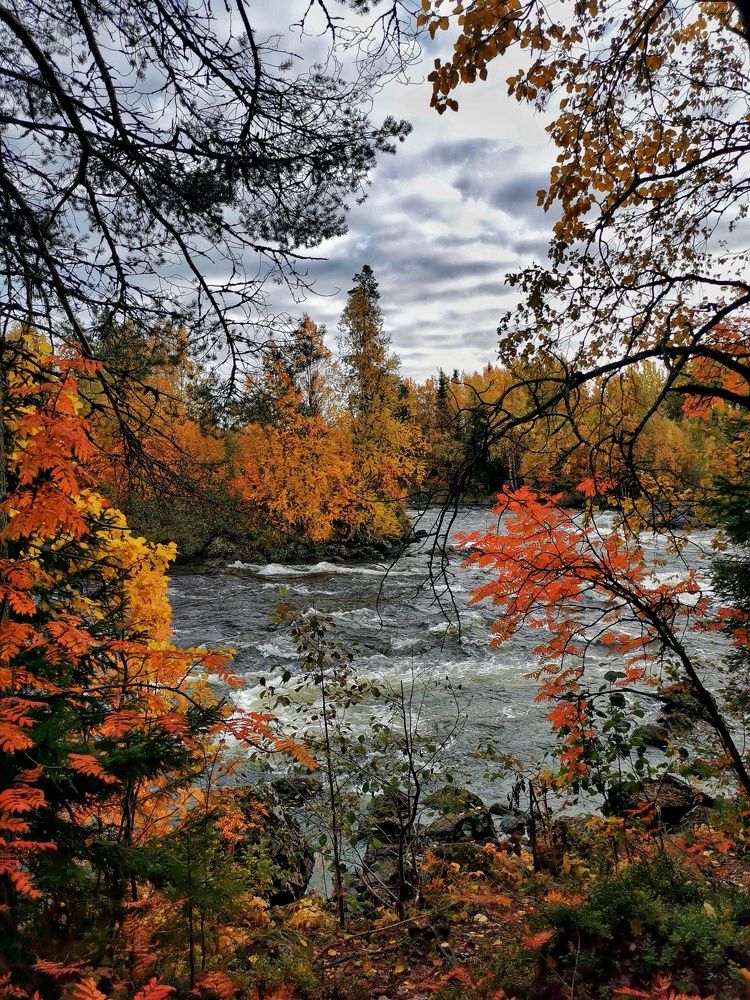 Photograph by Елена Артёменко