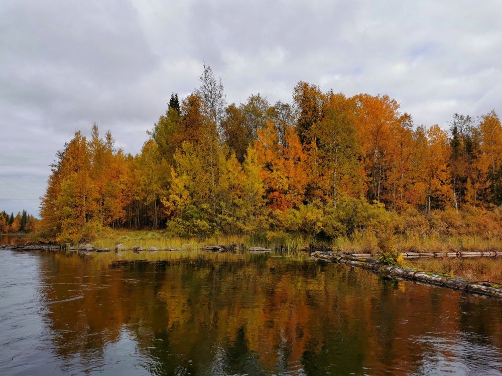 Photograph by Елена Артёменко