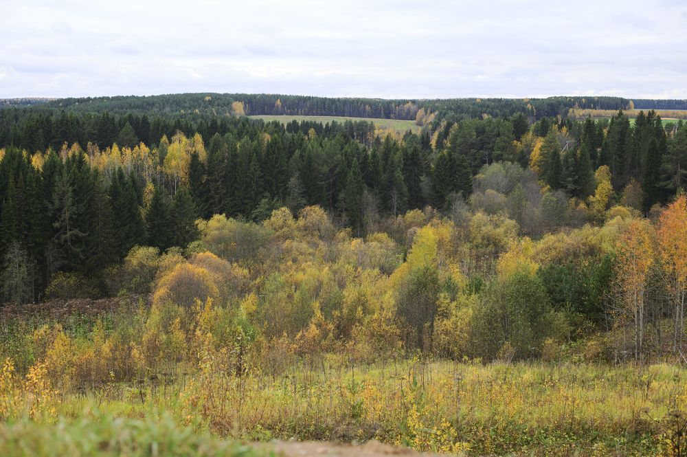 Photograph by Светлана Чебыкина