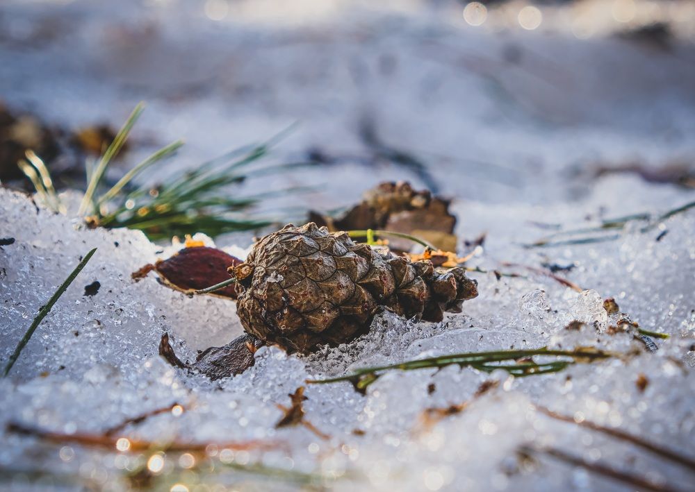 Photograph by Альберт Габбасов