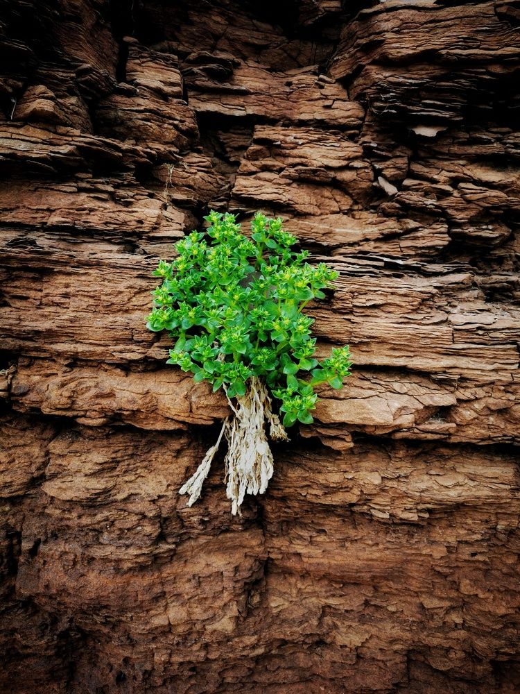 Photograph by Елена Артёменко