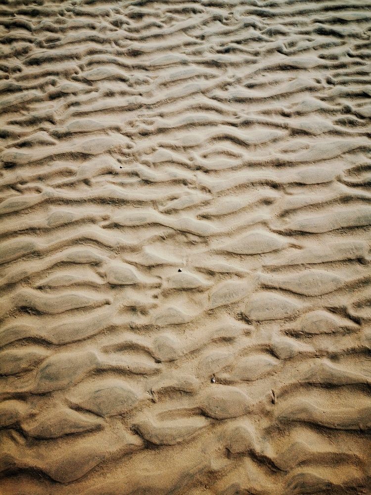 Photograph by Елена Артёменко