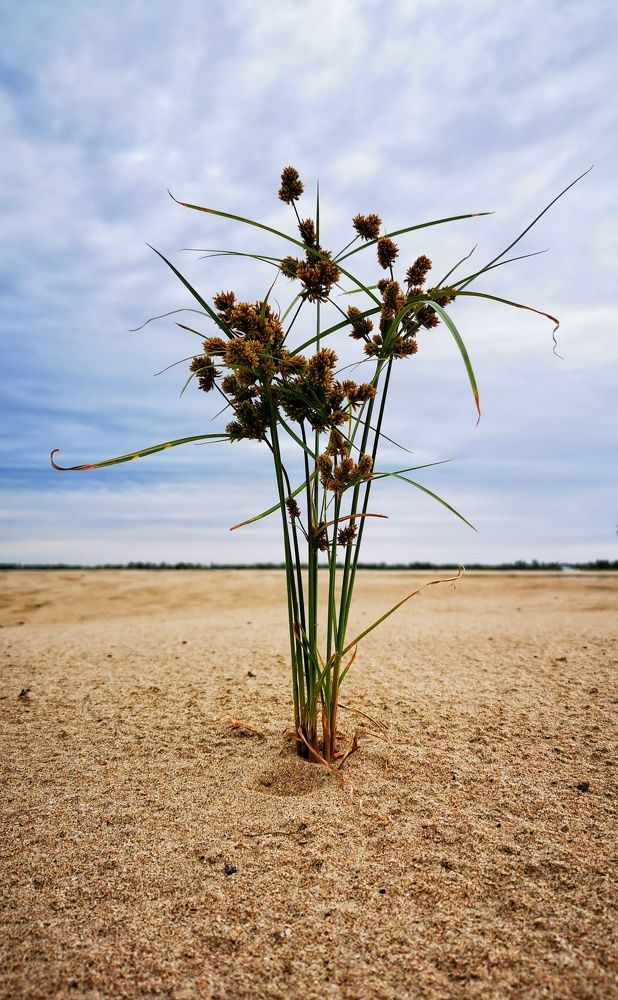 Photograph by Елена Артёменко