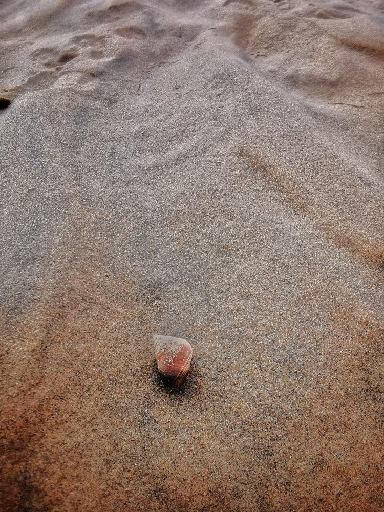 Photograph by Елена Артёменко