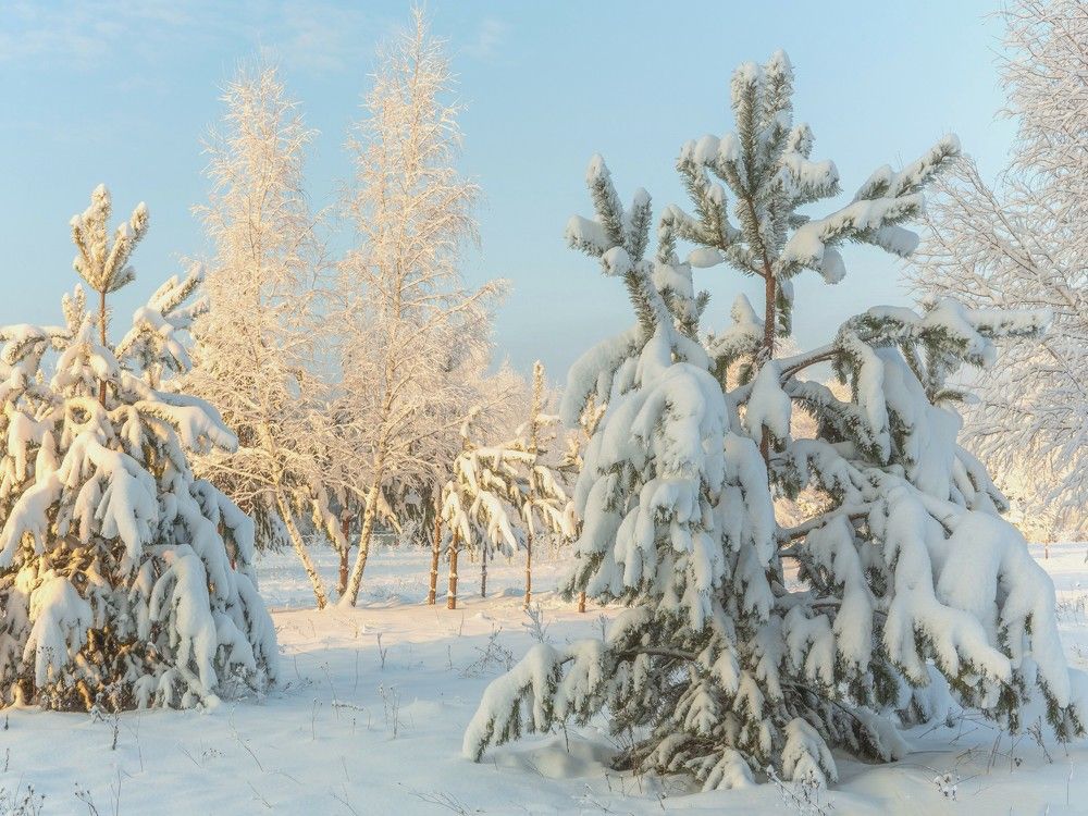 Photograph by Александр Литвинов