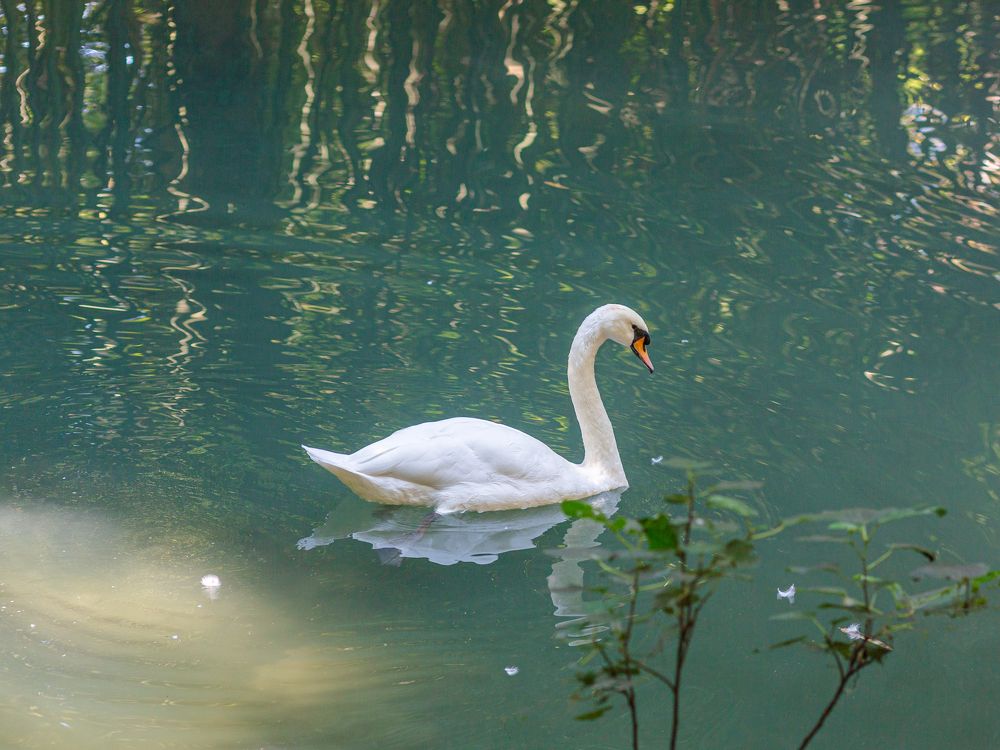 Photograph by Александр Литвинов