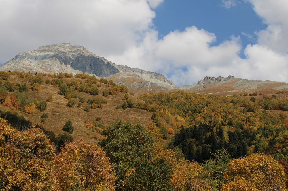 Photograph by Елизавета Огурцова