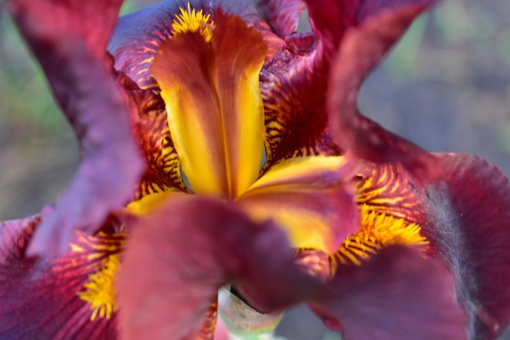 Photograph by Галина Купцова