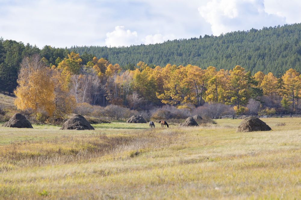 Фотография автора Светлана Барнадаева