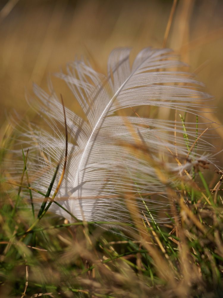 Photograph by Шейко Анна