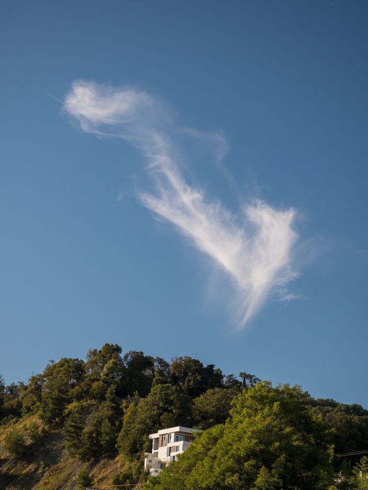 Photograph by Шейко Анна