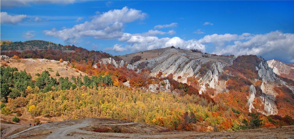 Photograph by Евгений Самулев