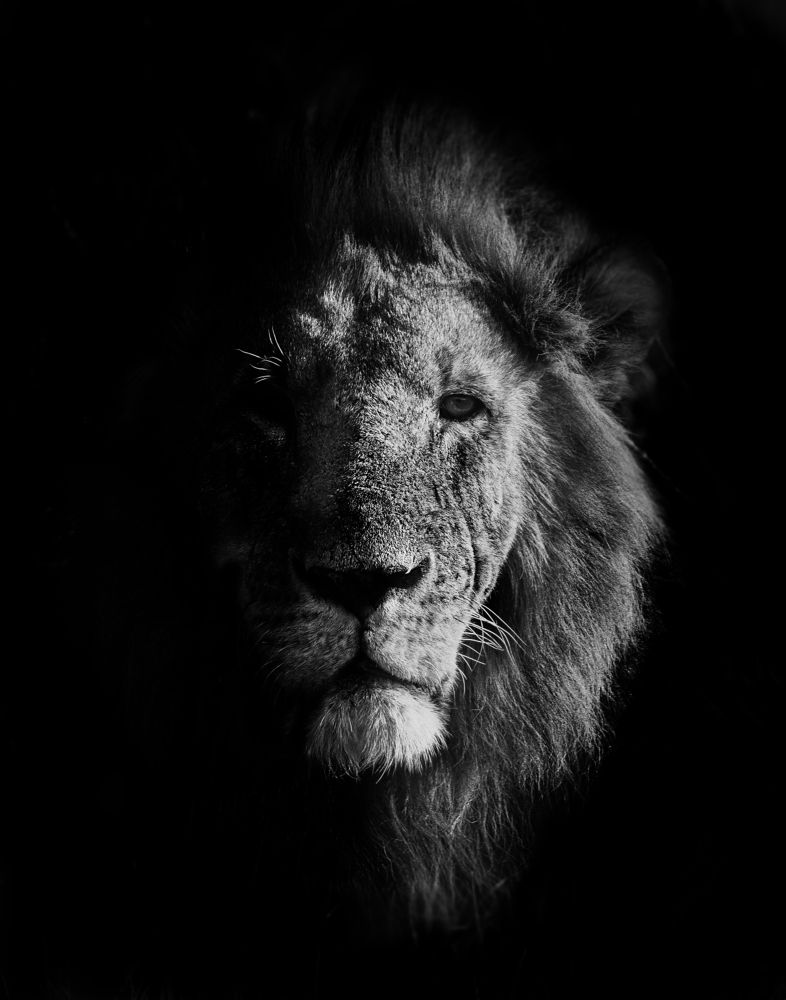 Photograph by Bevzenko Roman