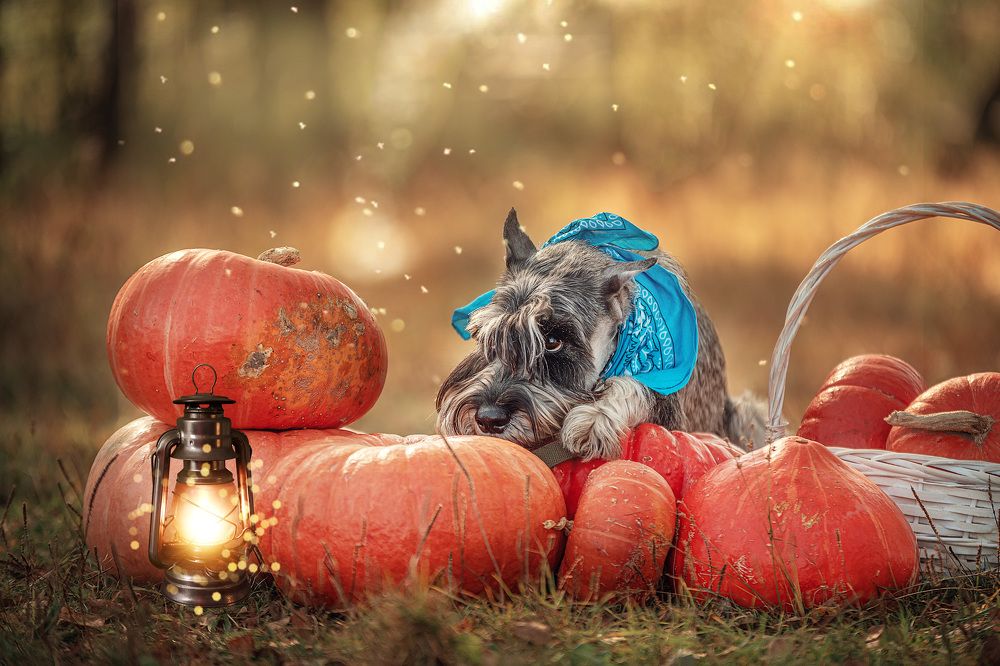 Photograph by Милана Бабченко