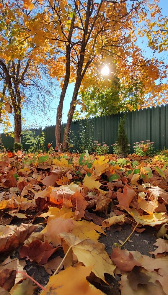 Photograph by Марина