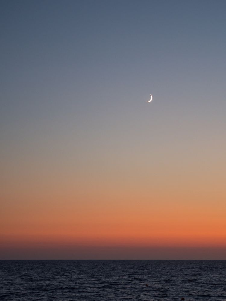 Photograph by Шейко Анна