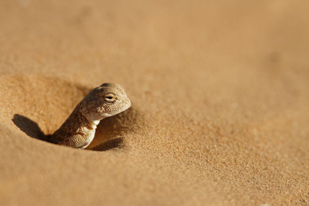 Photograph by Мария Заболотная