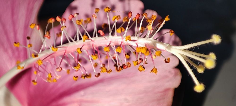 Photograph by Anup Ramesh Gharat