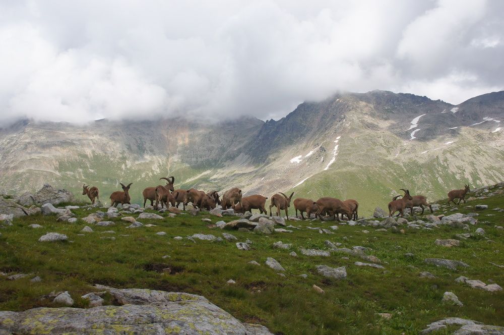 Кавказские туры