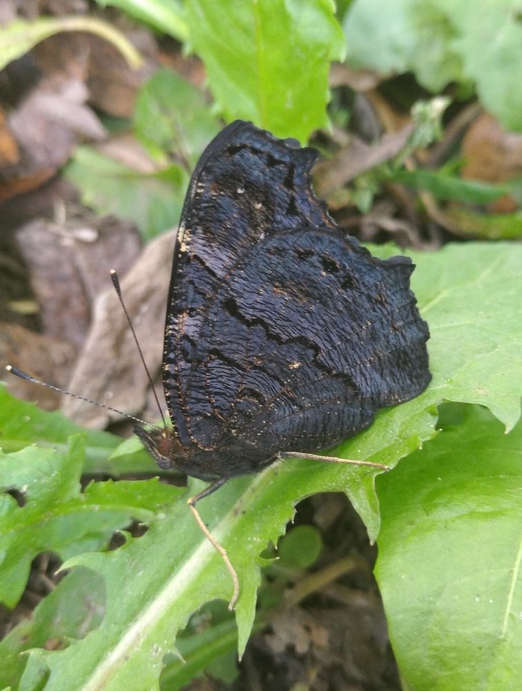 Photograph by Елена Коробченко