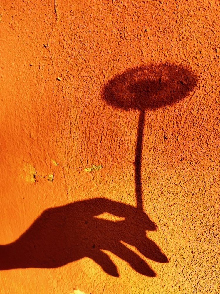 Photograph by Светлана Веселовская