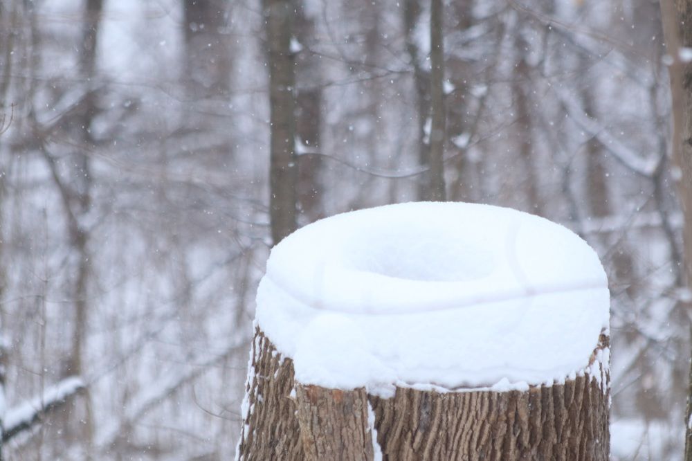 Photograph by Андрей Хитрун