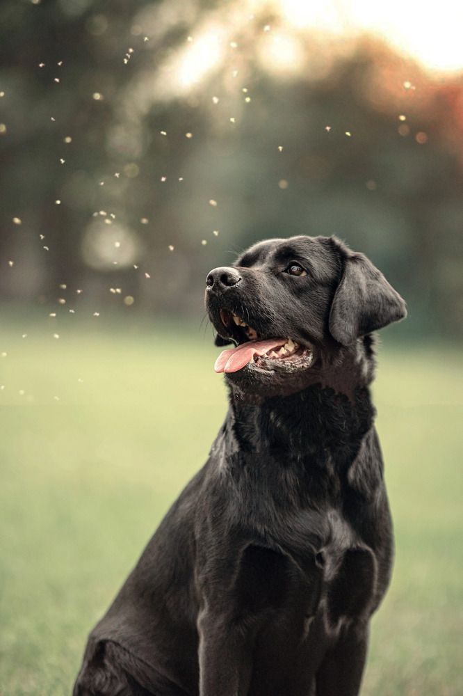 Photograph by Милана Бабченко