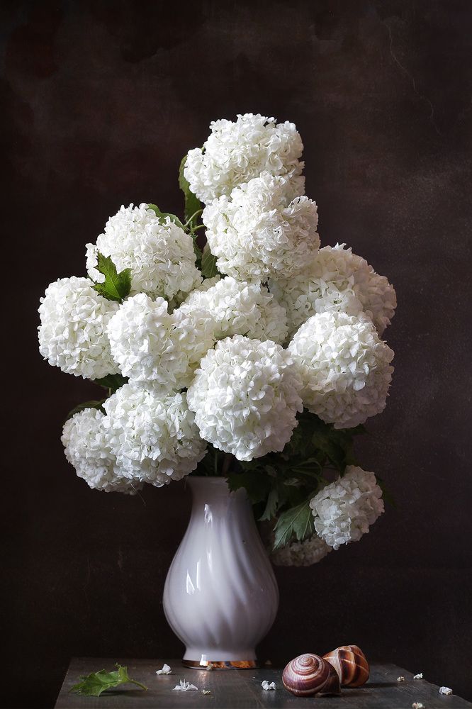 Photograph by Курочкина Диана