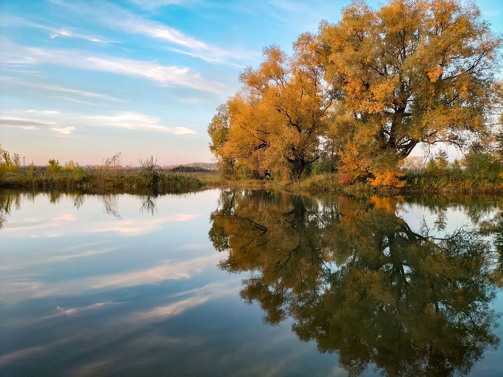 Photograph by Екатерина Оспанова