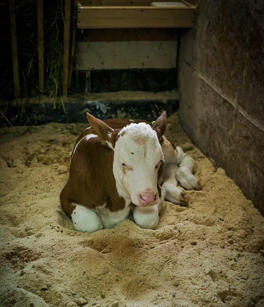 Photograph by Ekaterina Fadeeva