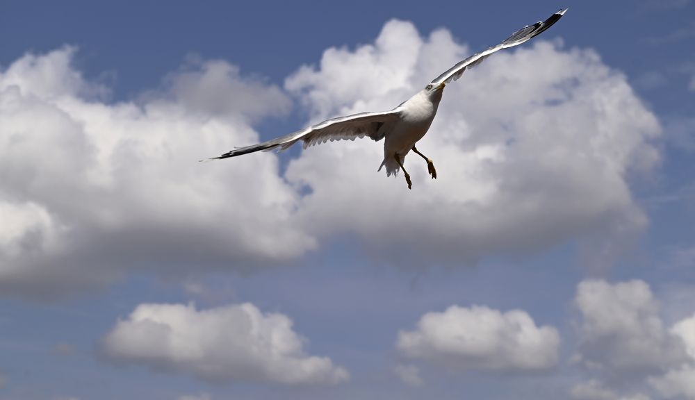 Photograph by Юлия Лис-а