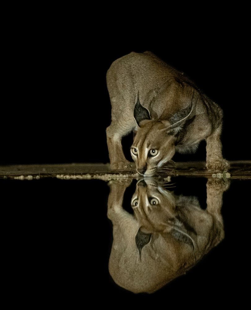 Photograph by Sonia varma