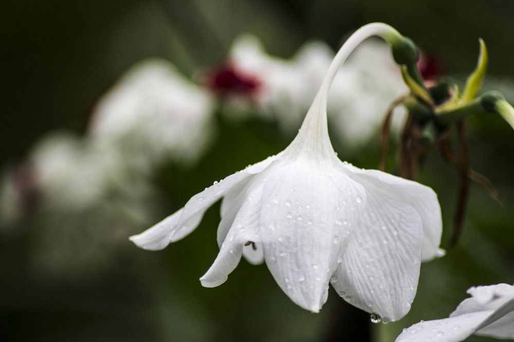 Фотография автора Edīte Ogorodnikova