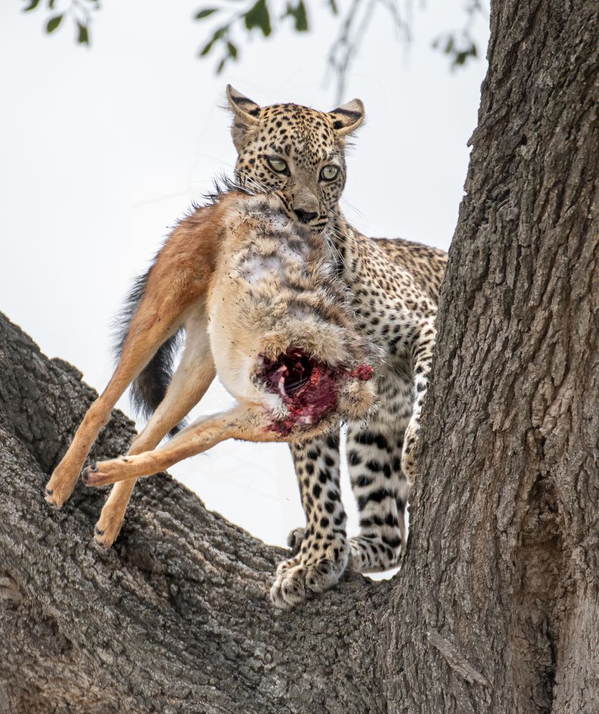 Photograph by Sonia varma