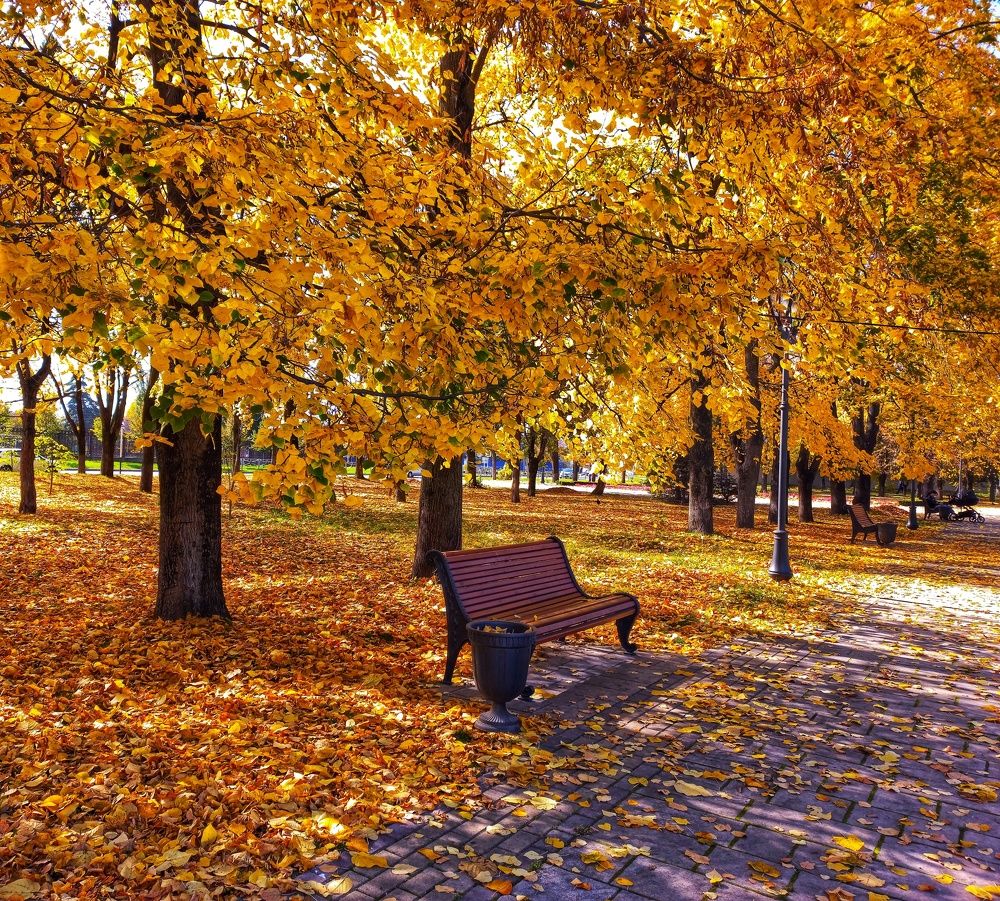 Photograph by Юлия Коробкова